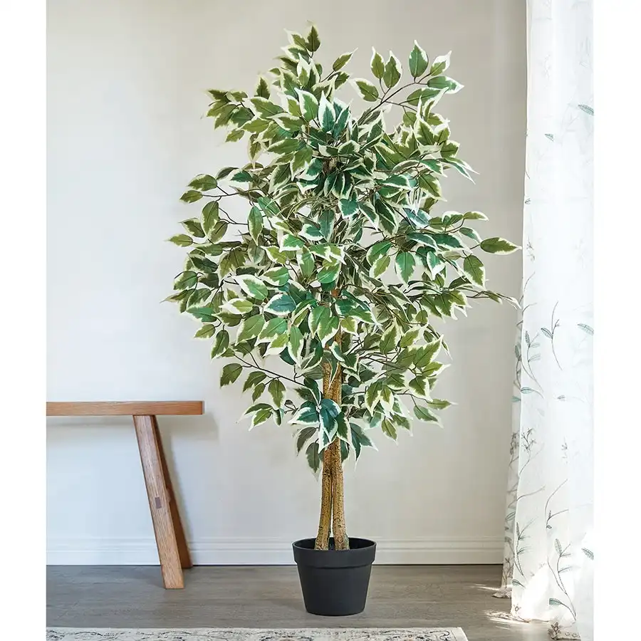 Faux Variegated Ficus Tree