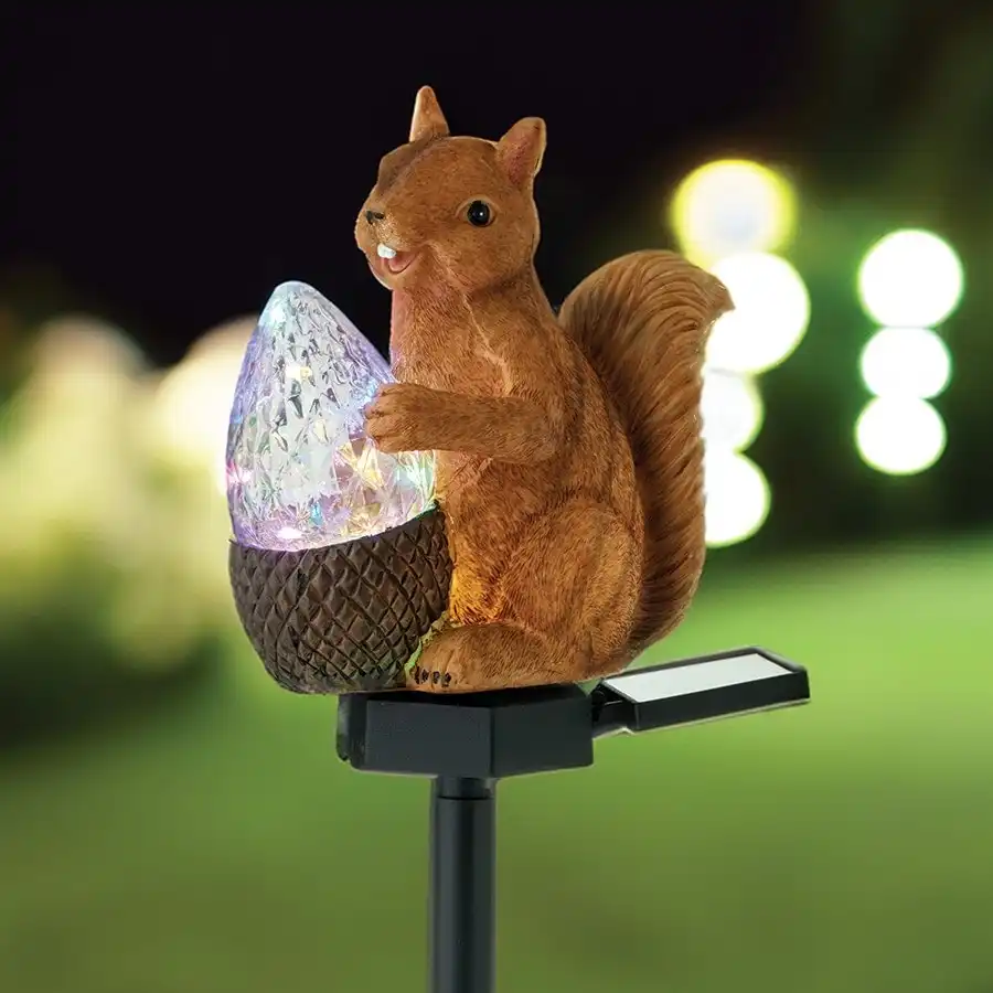 Cute Solar Squirrel with Nut