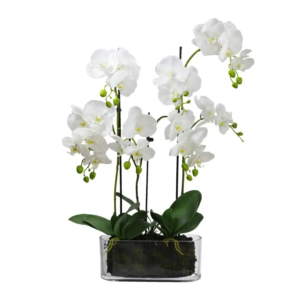 Glamorous Fusion Orchid 70cm Artificial Faux Plant Decorative Arrangement In Flat Glass White
