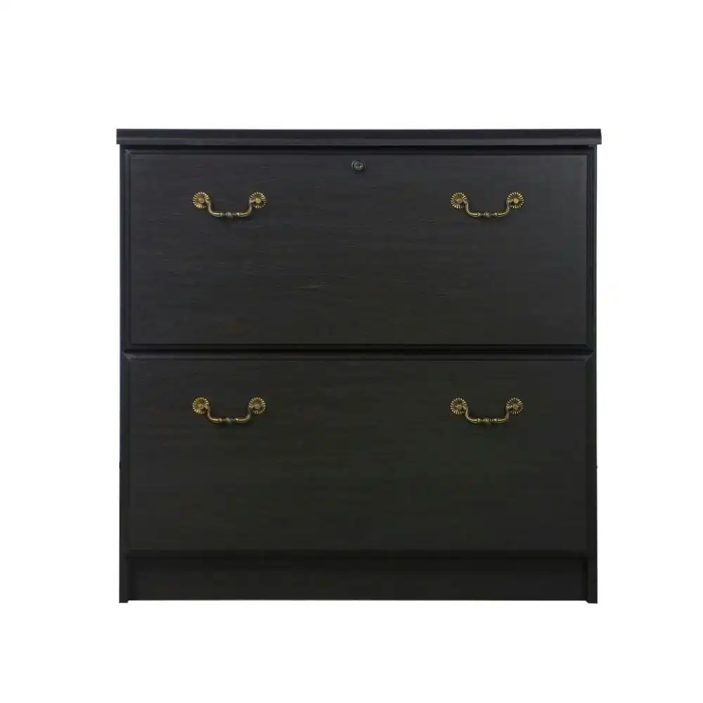 Norwich Modern Wooden 2-Drawer Lateral Filing Cabinet Storage - Black Oak