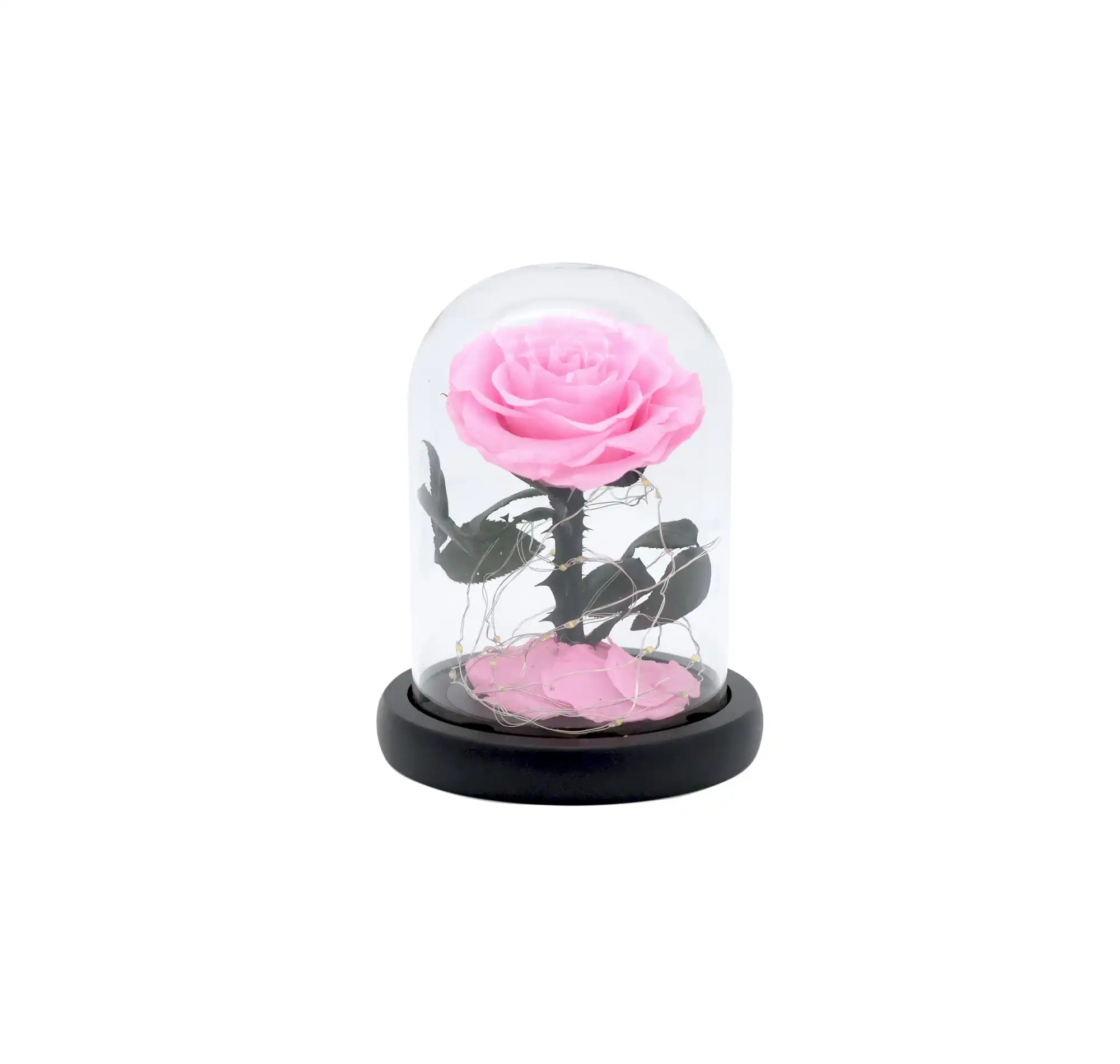 Vistara Timeless Rose - Natural 15cm Pink Preserved Rose With LED Light