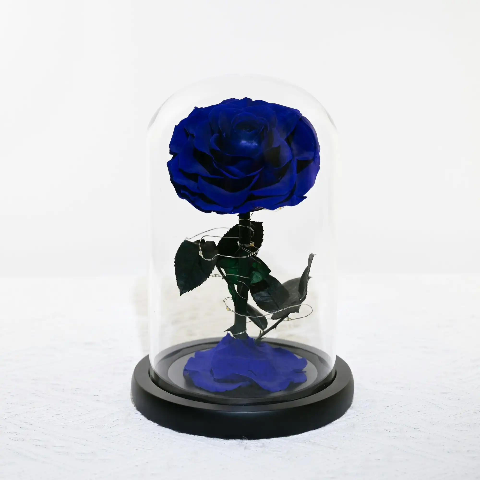 Vistara Timeless Rose - Natural 20cm Blue Preserved Rose With LED Light