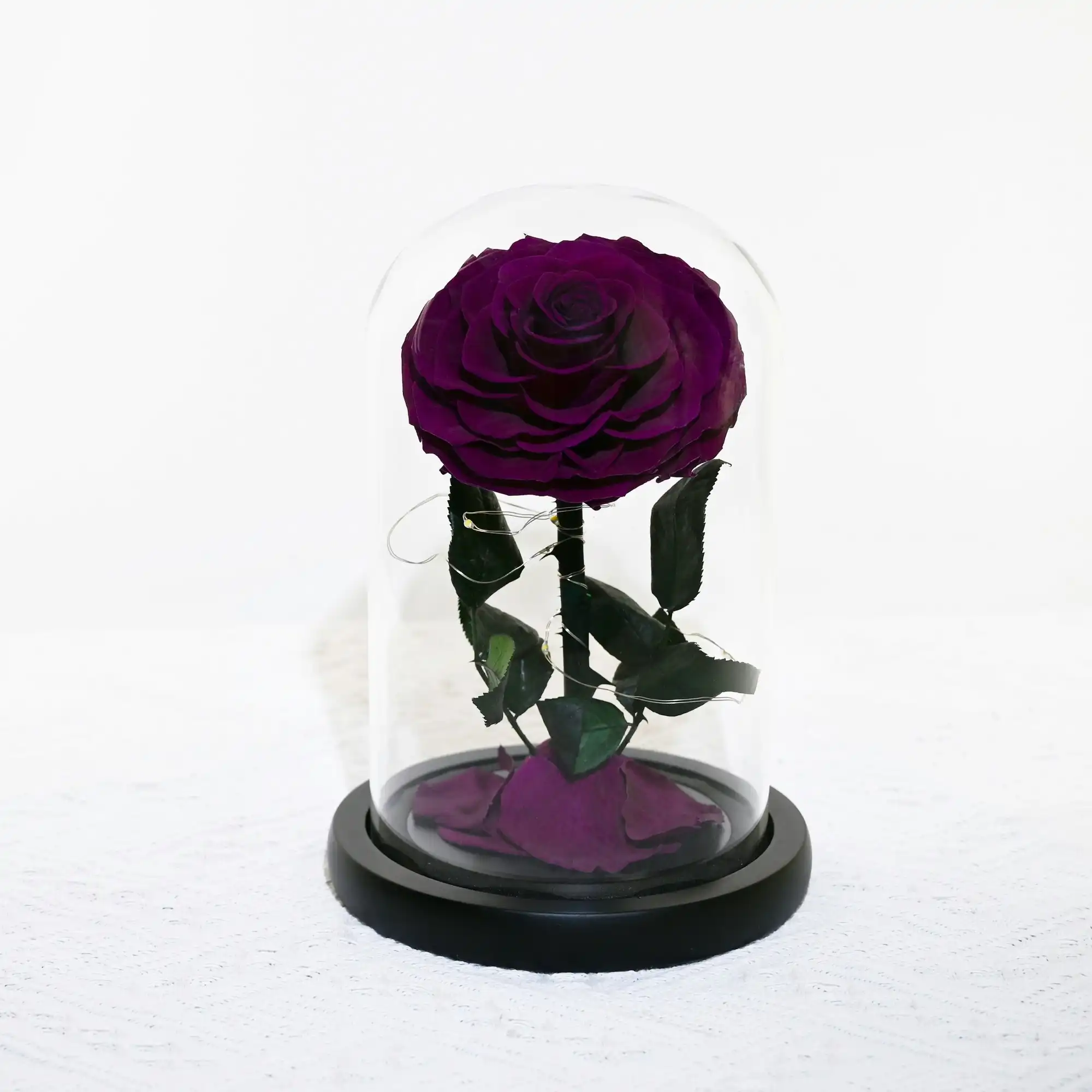 Vistara Timeless Rose - Natural 20cm Purple Preserved Rose With LED Light
