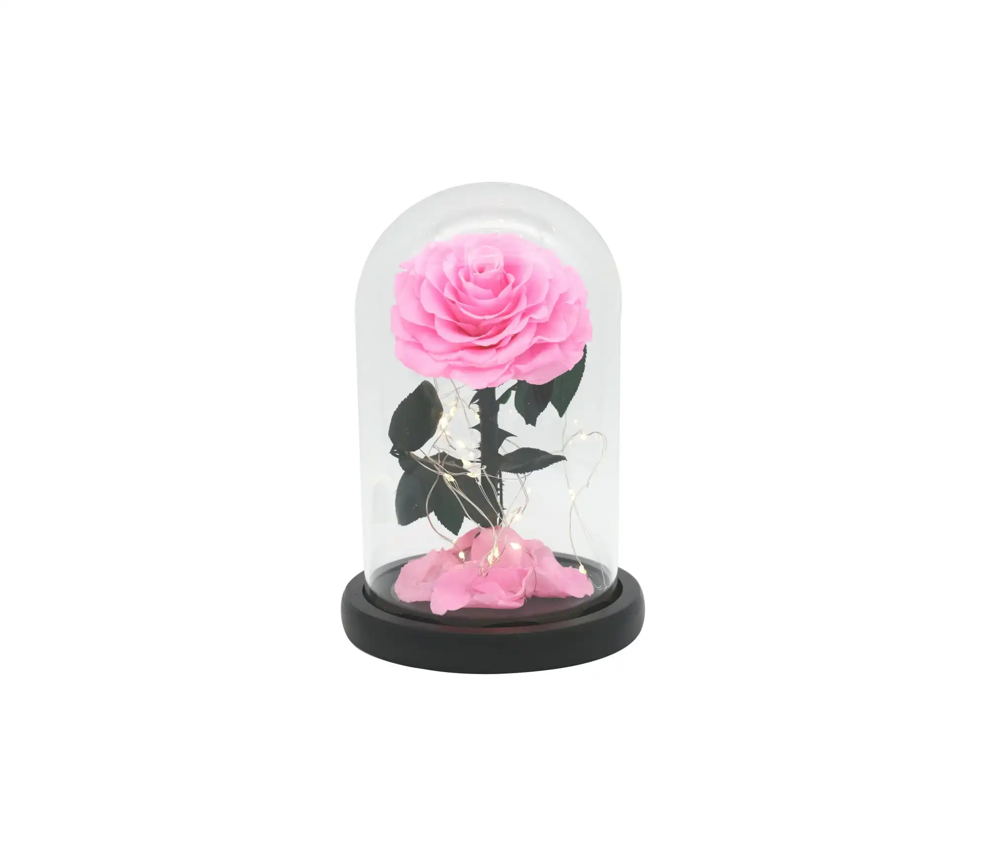 Vistara Timeless Rose - Natural 20cm Pink Preserved Rose With LED Light