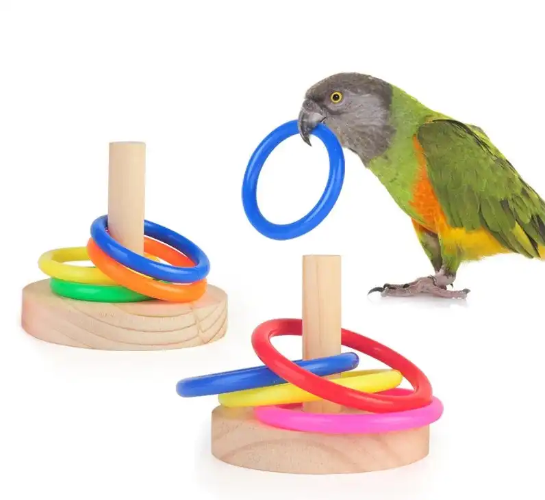 Interactive Parrot Bird Ring Educational Training Toy
