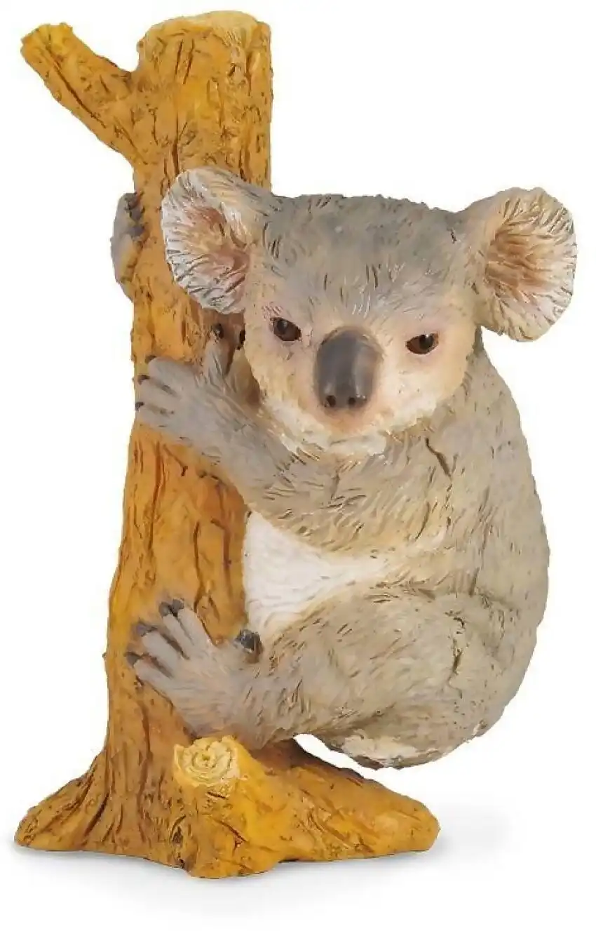 Collecta - Koala Bear Climbing Animal Medium Figurine
