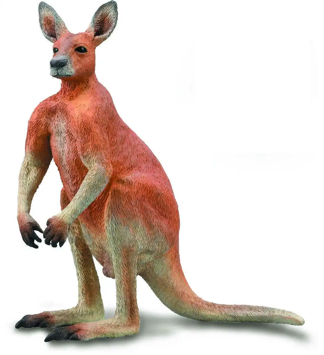 Collecta - Red Kangaroo Male Large Australian Animal Figurine