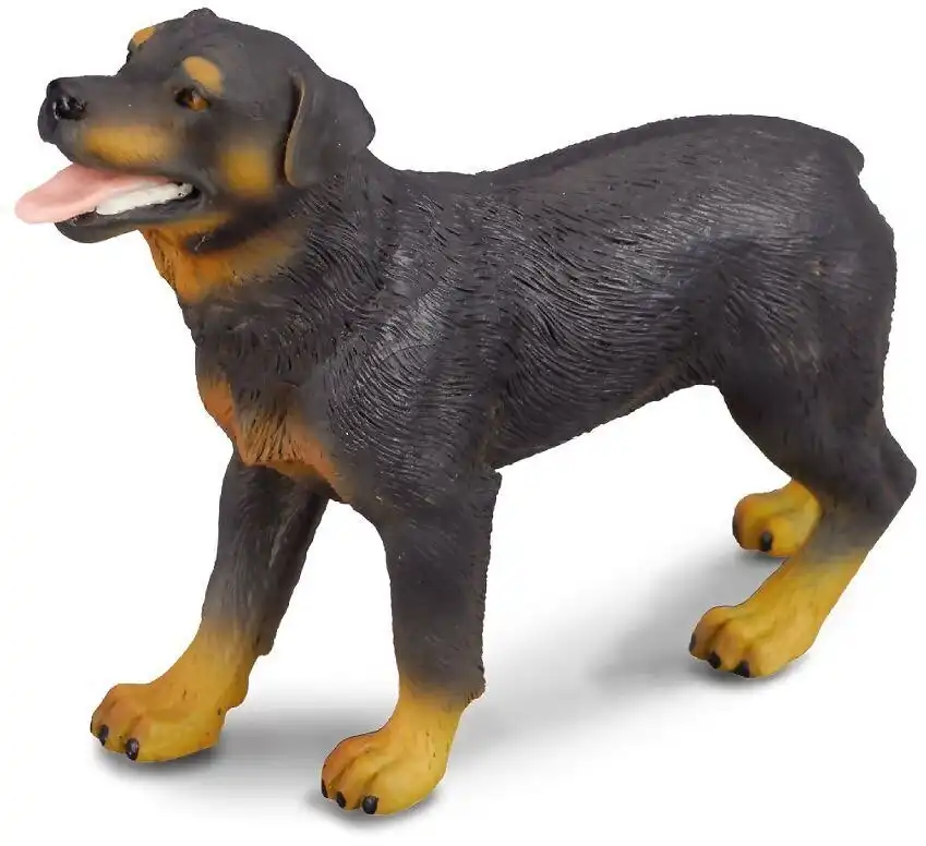 Collecta - Rottweiler Dog Large Figurine