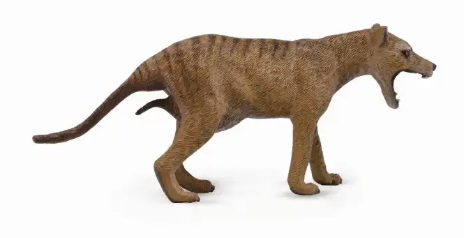 Collecta - Tasmanian Tiger Female Large Animal Figurine
