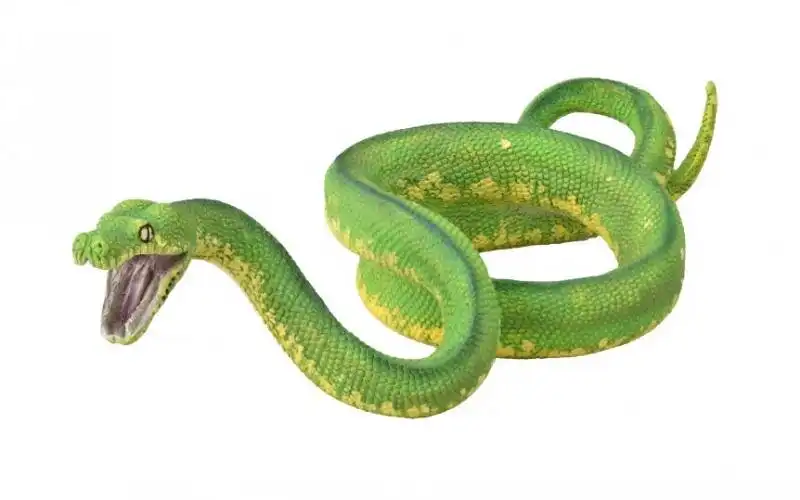 Collecta - Green Tree Python Large Animal Figurine