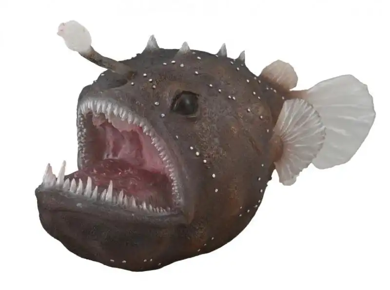 Collecta - Anglerfish Extra Large Animal Figurine