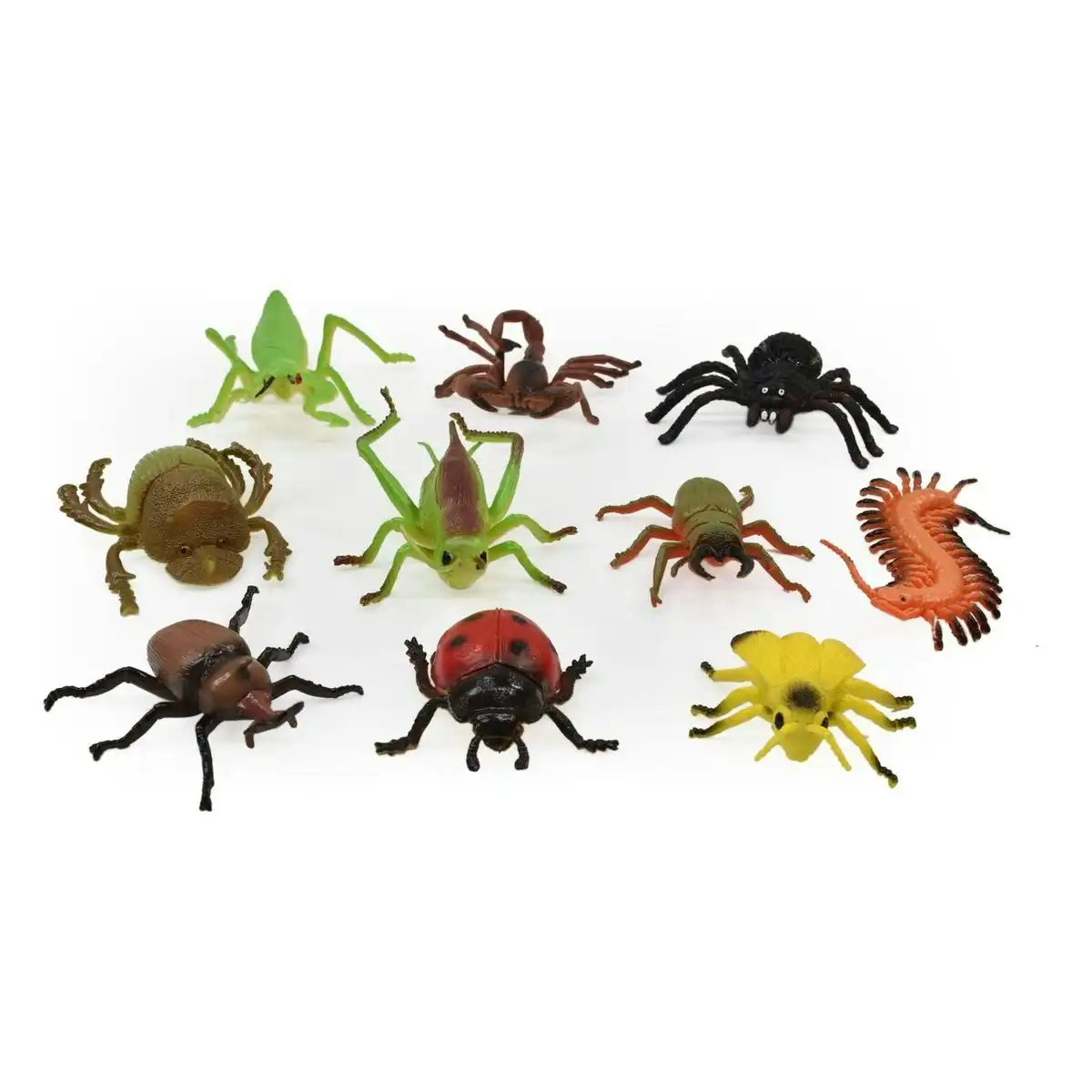 Insect World 10 Piece Set