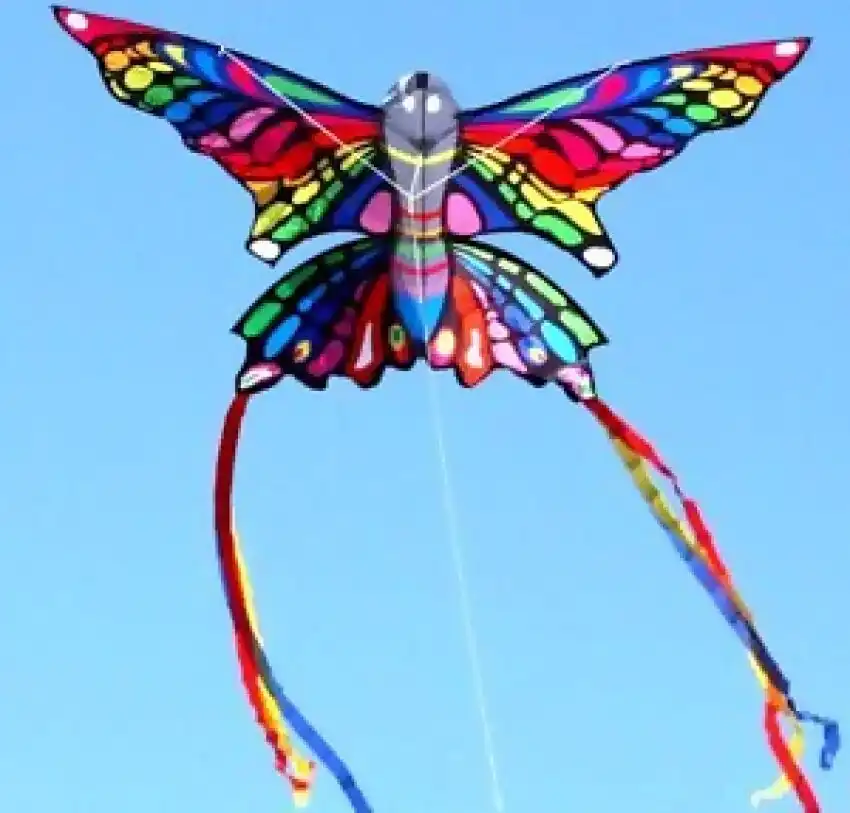 Windspeed - Rainbow Butterfly Kite Single Line - Ocean Breeze Model 7150