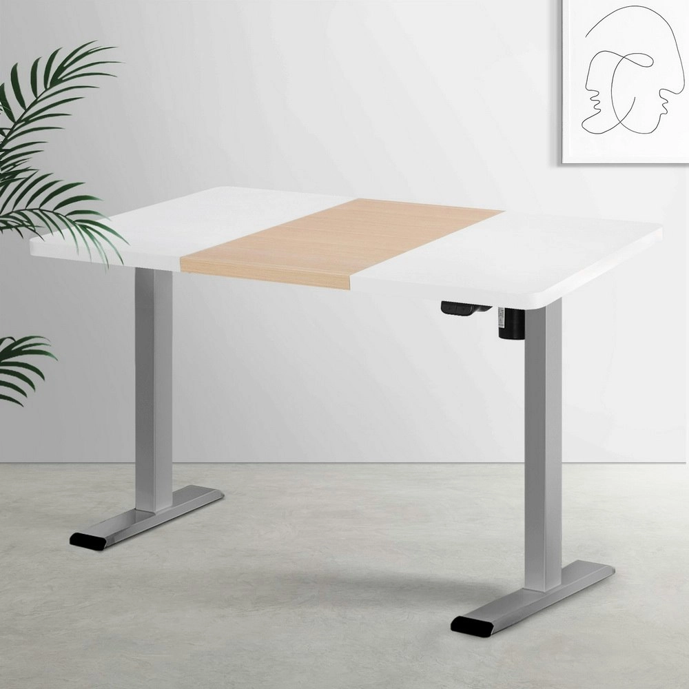 Artiss Standing Desk Electric Sit Stand Desks 120CM