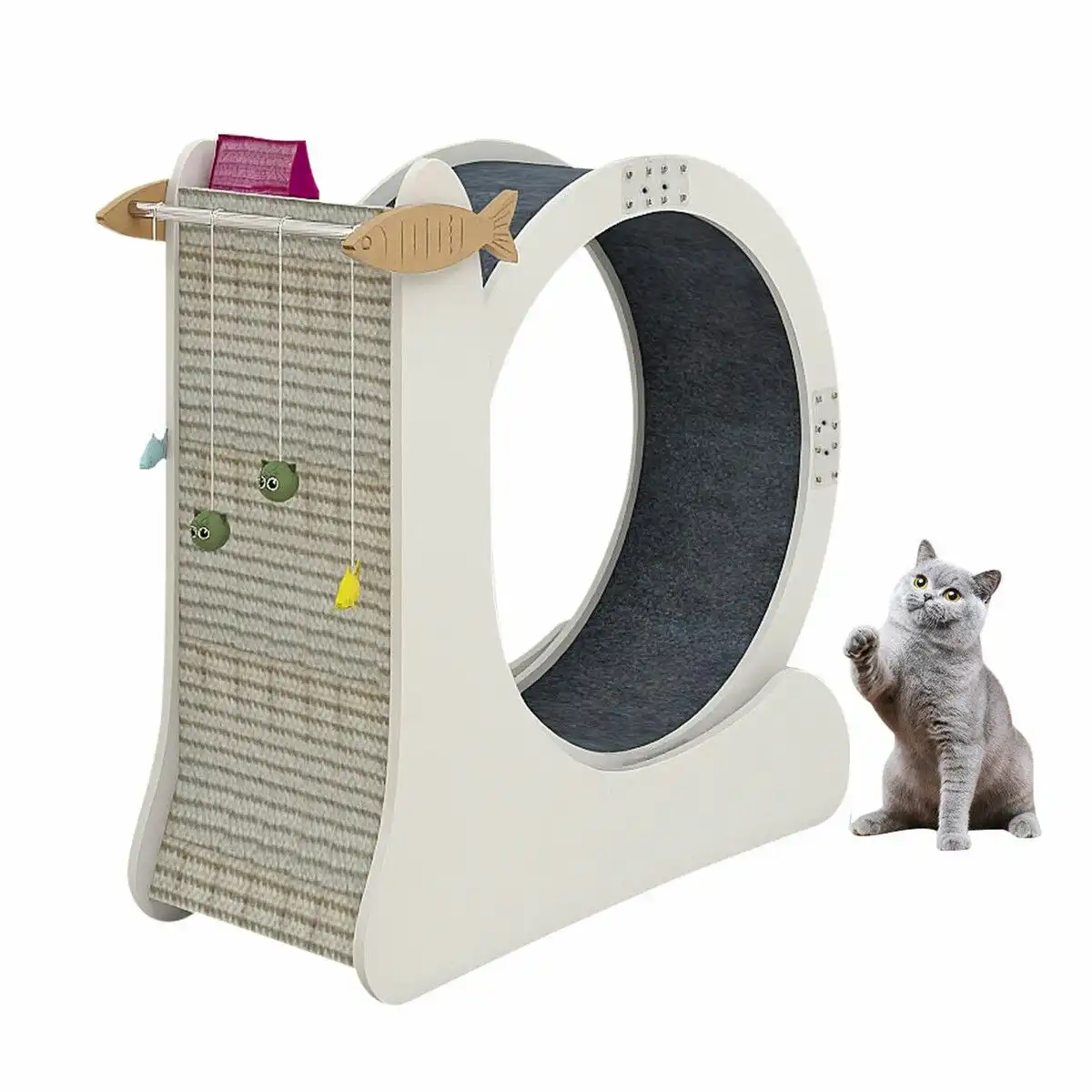 Pet Scene Cat Exercise Wheel Toy Running Treadmill Exerciser Scratcher Board Furniture Roller Sports Play Gym Equipment with Carpet Runway