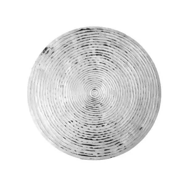 SSH Collection Goren 66cm Wide Concentric Circle Wall Art - Polished Aluminium