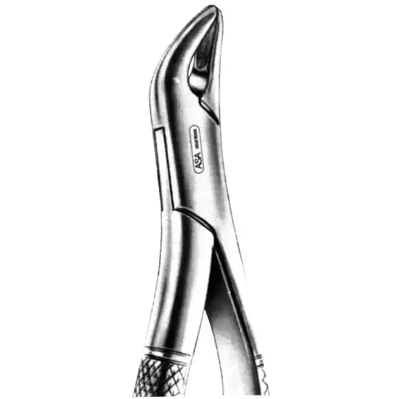 ASA Dental Extracting Forceps, No. 62, American Premolars, Box Joint, Stainless Steel