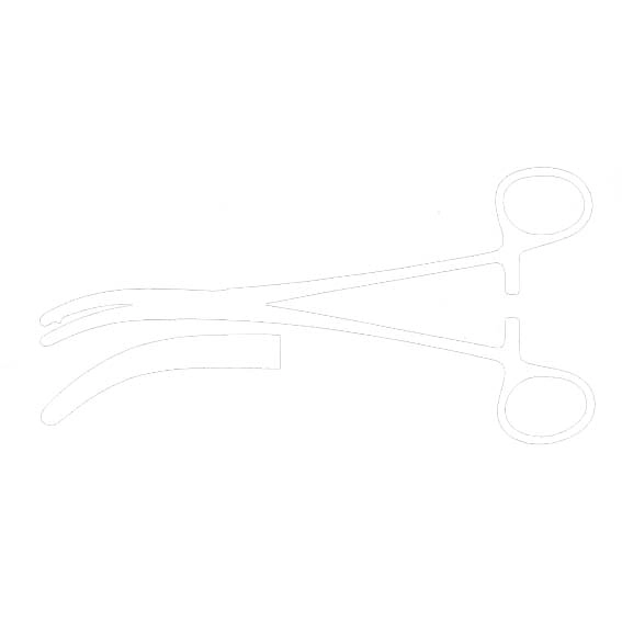 Heaney Clamp Forcep, 21cm, Each