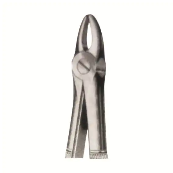 Livingstone Dental Extracting Forceps No. 2 Upper Lateral GB Stainless Steel