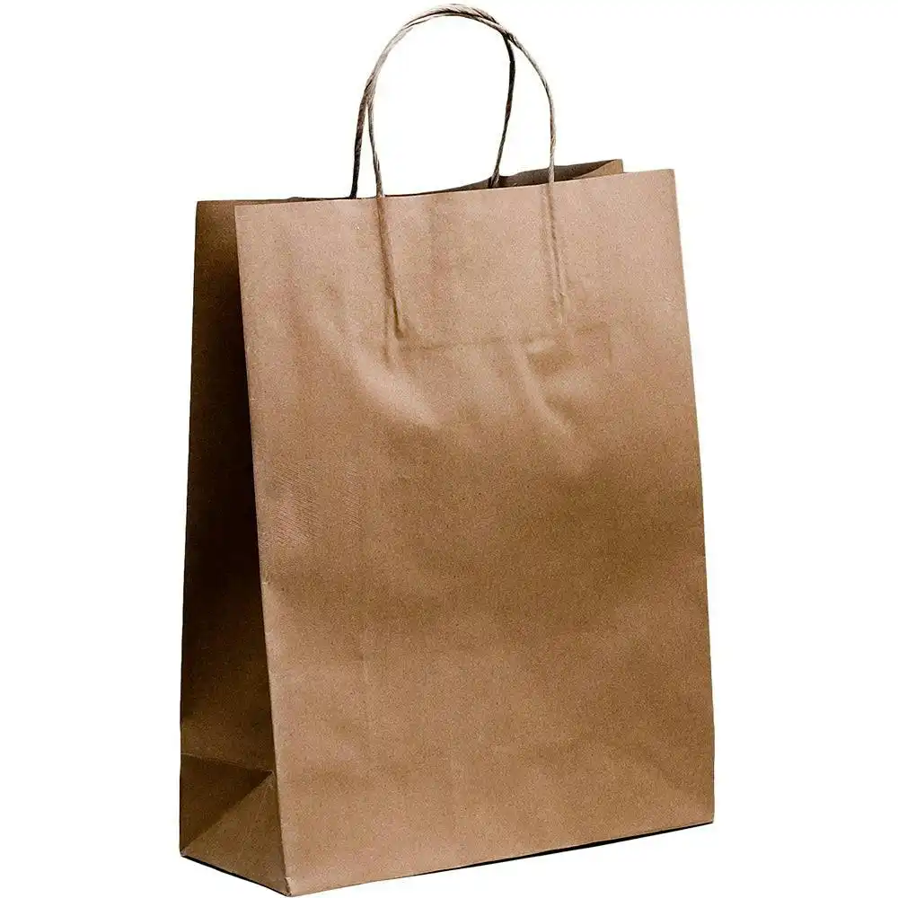 Paper Carry Bags (Brown) 24x33x8cm Medium Size [100 Pack]