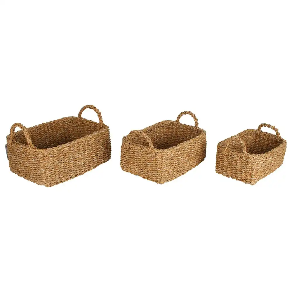 3pc Maine & Crawford Bondi 20/23/27cm Seagrass Rectangle Kitchen Basket Storage