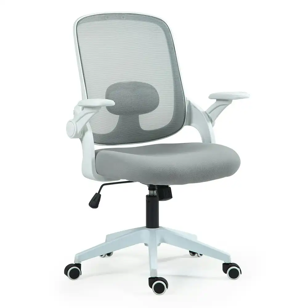 Fortia Ergonomic Office Desk Chair, Coolmesh Fabric, Adjustable Recline, Grey Mesh/White Frame
