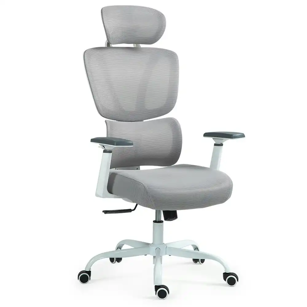 Fortia Ergonomic Office Desk Chair, Coolmesh Fabric, Adjustable Lumbar Support, Headrest, Armrest and Recline, White Mesh/Grey Frame