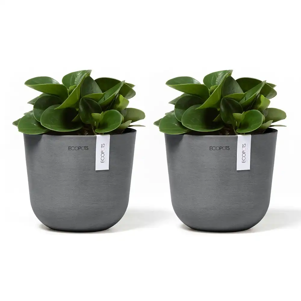 2x Ecopots Oslo Mini 16cm Home Indoor/Outdoor Decor Garden Plant Pot Grey