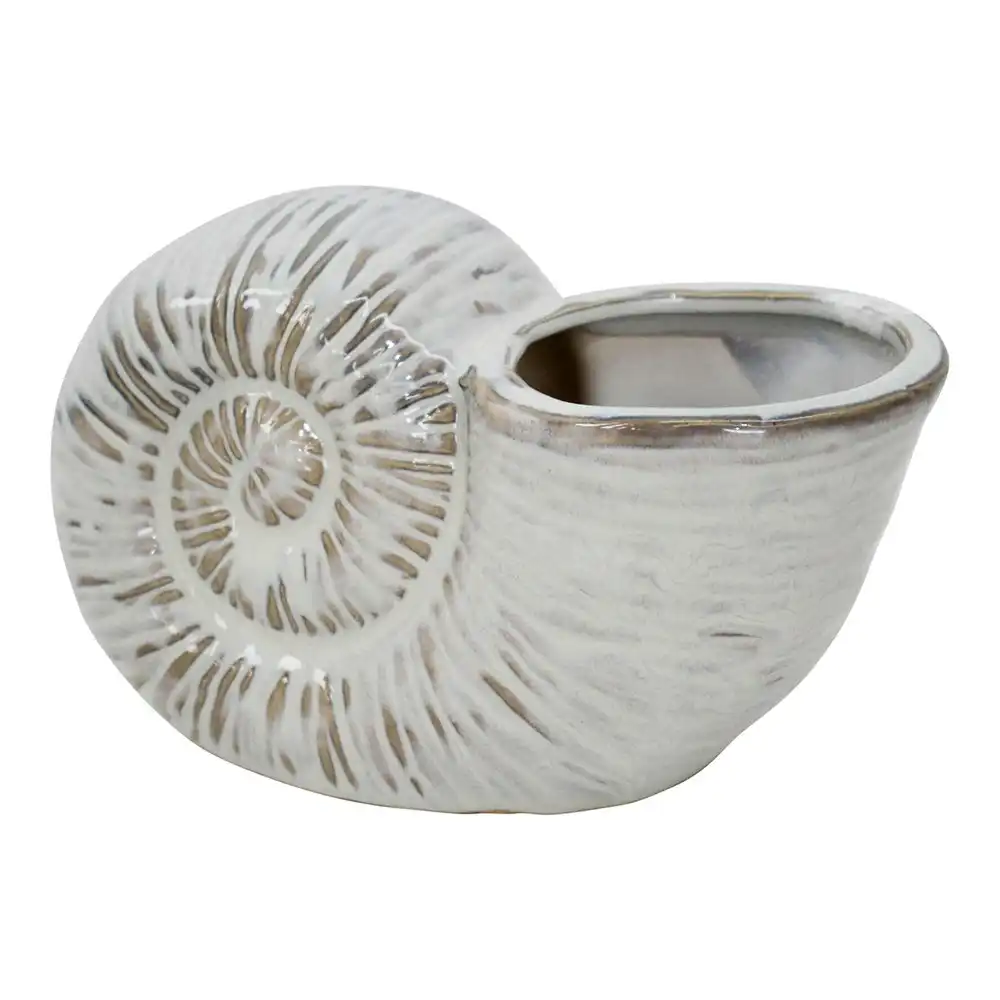 Ceramic 16cm Shell Planter Flower Pot Tabletop Home Room Garden Decor Ivory