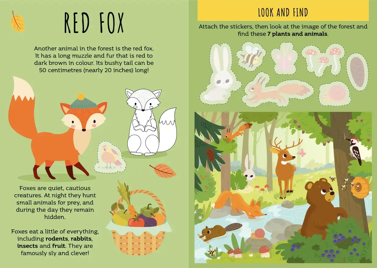 3x Sassi Stickers & Activities Book Kids/Children Learn Play Read The Forest 3y+
