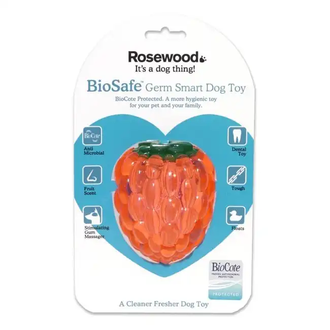 Rosewood 10cm Antimicrobial Raspberry Biosafe Pet Dog Dental Chew Toy Orange