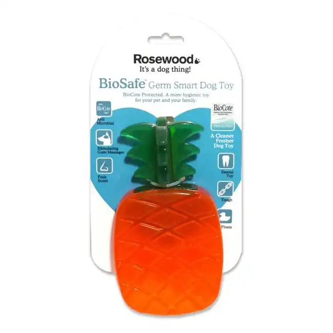 Rosewood Pineapple Biosafe Pet Dog Chew Bite Dental Fetch Play Toy Blue/Orange