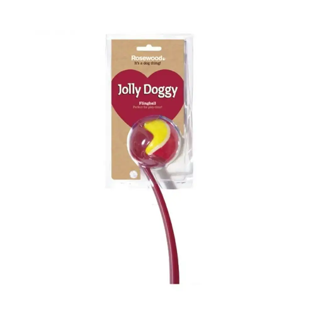 Rosewood Jolly Doggy Flingball Pet Dog Chew Fun Training Outdoor Toy Assorted