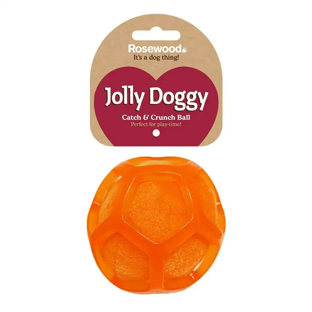 Rosewood Jolly Doggy Catch & Crunch Ball Pet Dog Chew Fun Playing Toy Orange