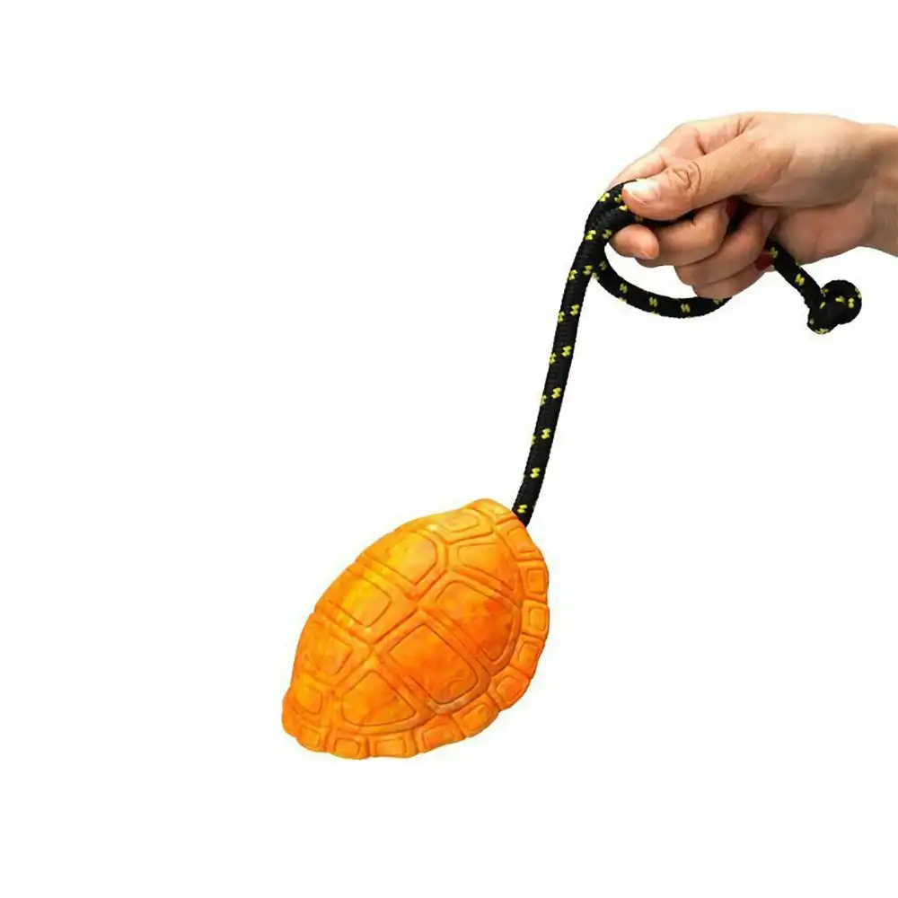 Petopia Ultra Tough Rubber Titan Turtle Dog Toy Chew Treat/Reward Large Assorted