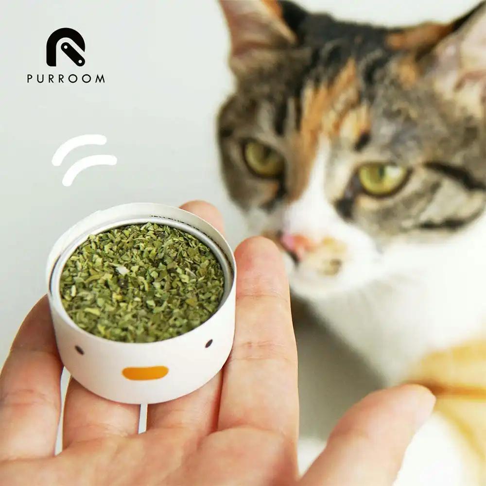 Purroom 4cm Dried Natural Catnip Can 3G Cat Toy Anxiety Reducer w/ Paper Spoon