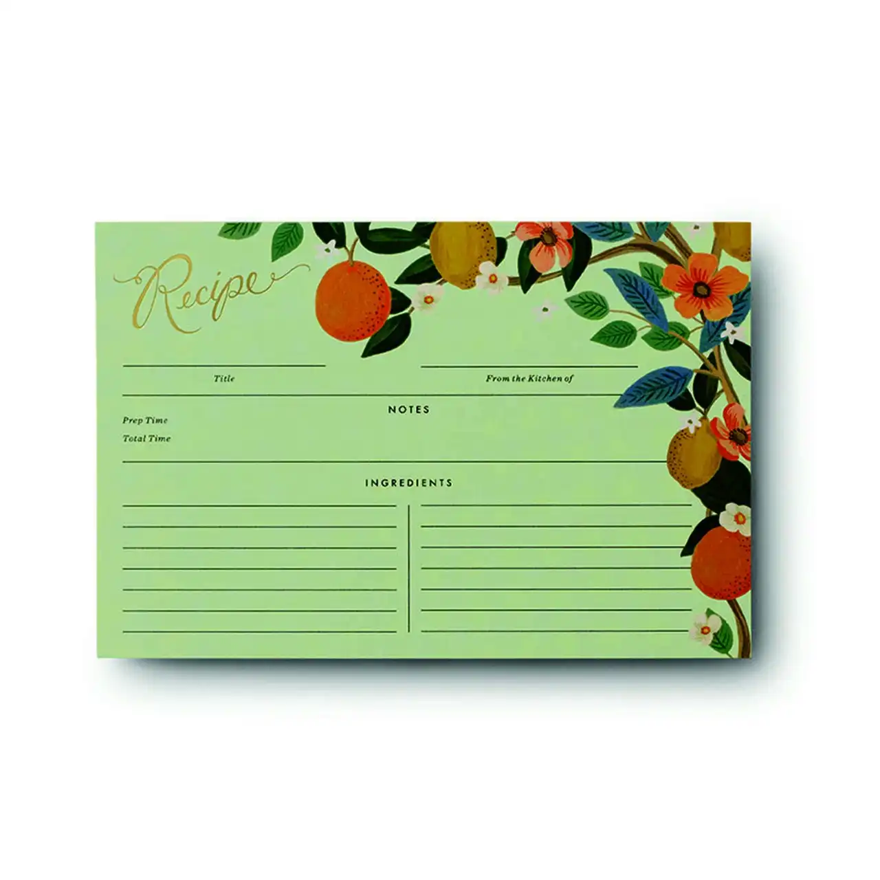 12PK Rifle Paper Co Recipe Cards Kitchen Record Dinner/Desserts Citrus Grove