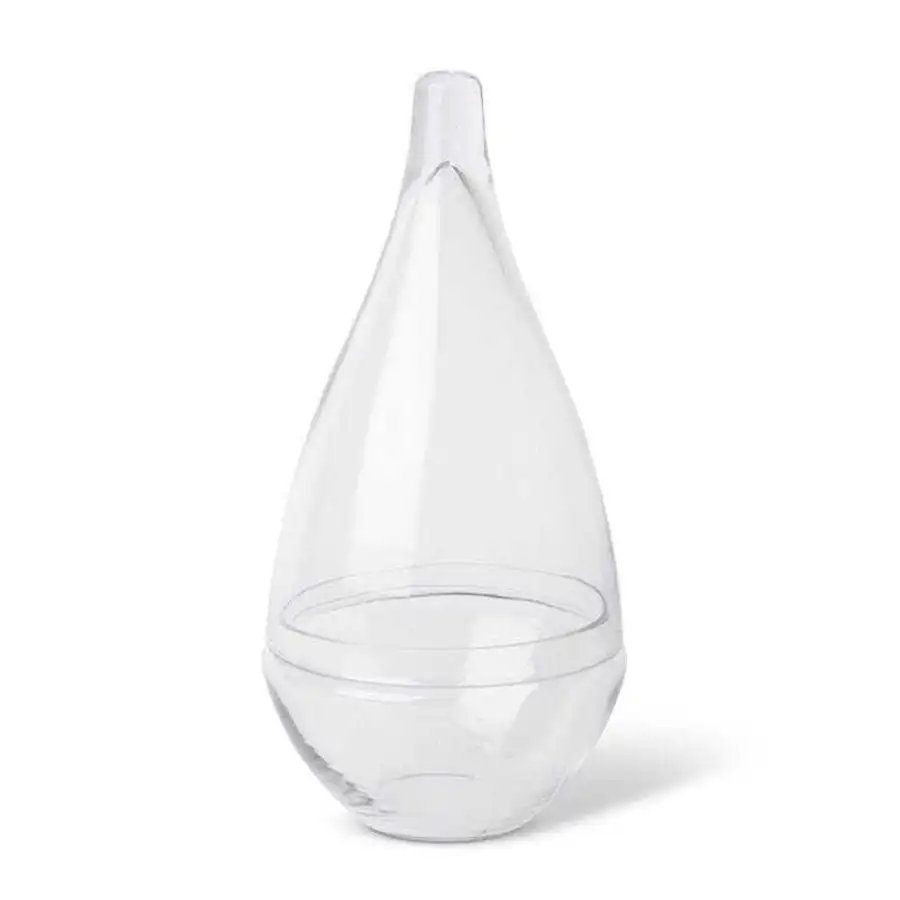 E Style 42cm Glass Tessa Tall Terrarium Plant/Flower Vase Home Decor Clear
