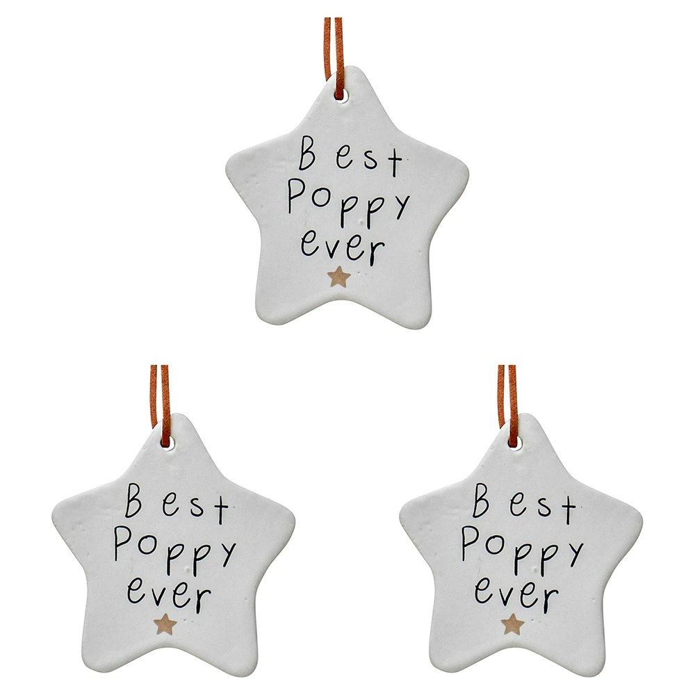 3x Ceramic Hanging 9cm Star Best Poppy w/Ribbon Ornament Home/Office Room Decor