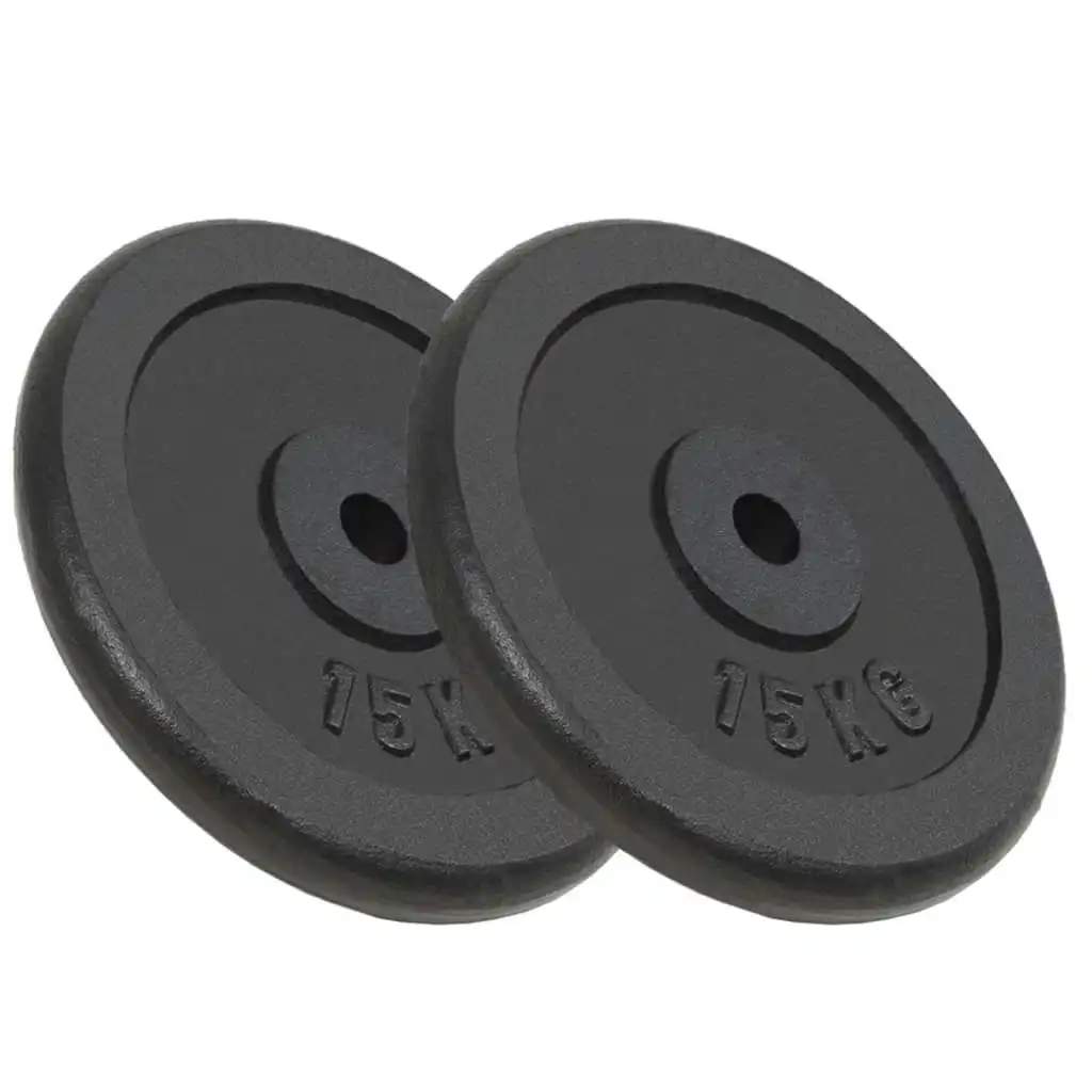 Weight Plates 2 pcs 2x15 kg Cast Iron 91396