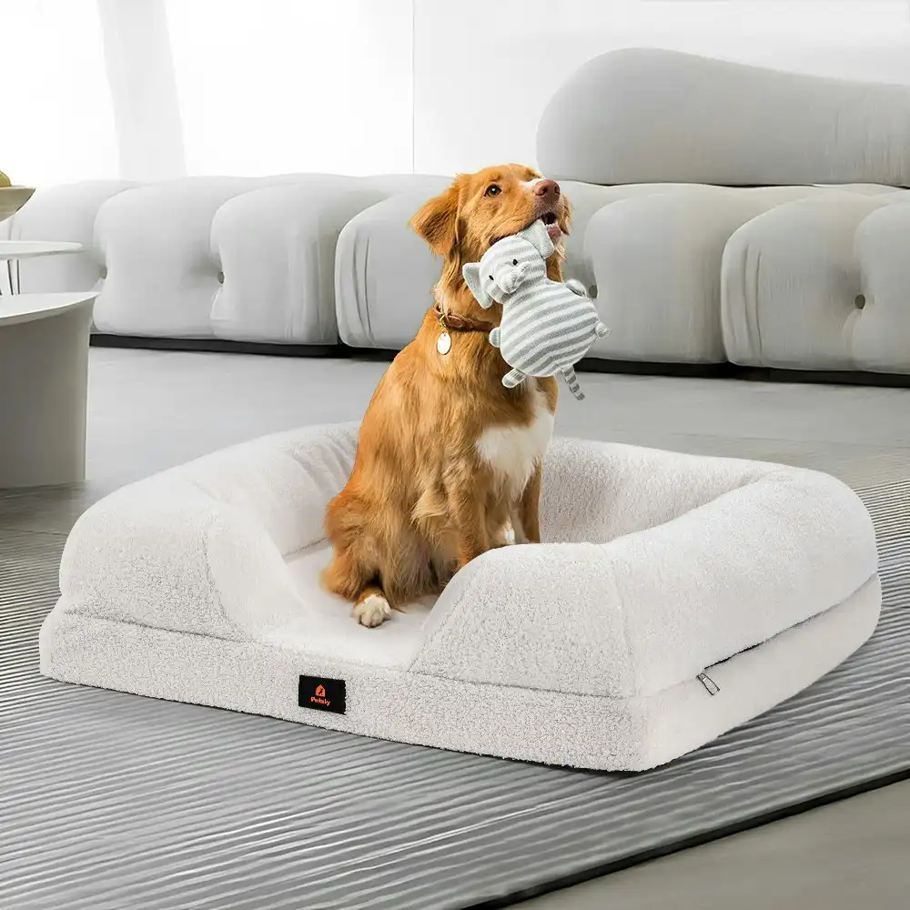 Petzly Memory Foam Dog Bed Pet Sofa Calming Bed Washable Removable White