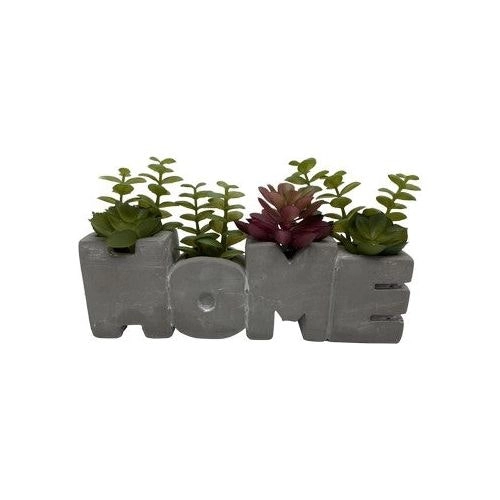 Home Flower Pot with Plastic Succulents