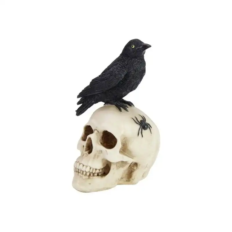 Skull With Black Crow