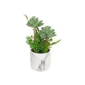 Succulent in Marble Pot