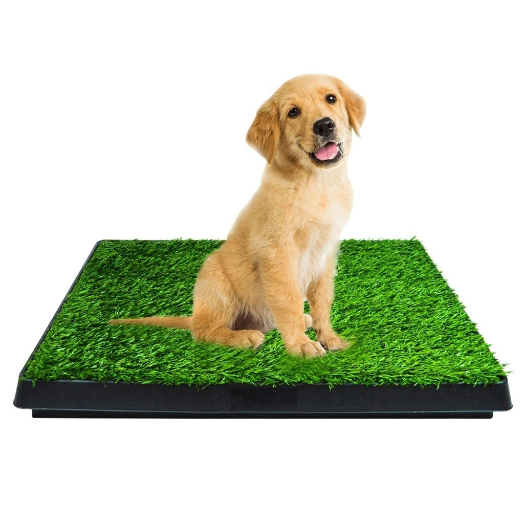 Floofi Pet Grass Training Potty