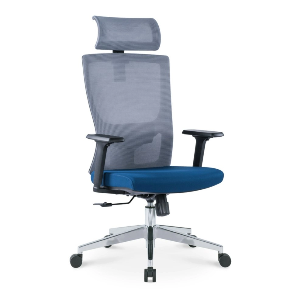 Ekkio Ava Ergonomic Office Chair w/ Wide Tall S-shaped Backrest Design - Grey & Blue