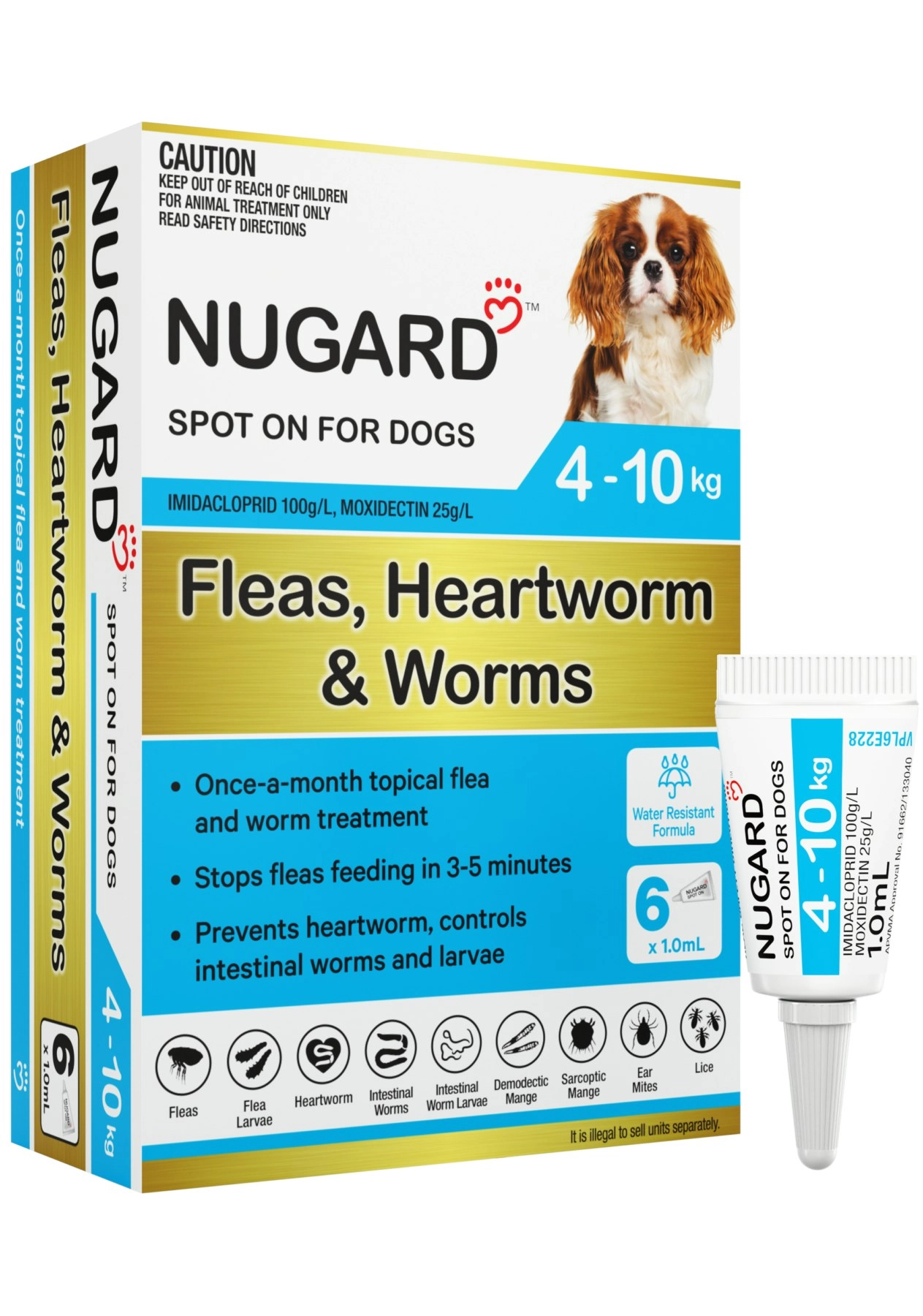 Nugard for Small Dogs 4-10kg (Aqua)