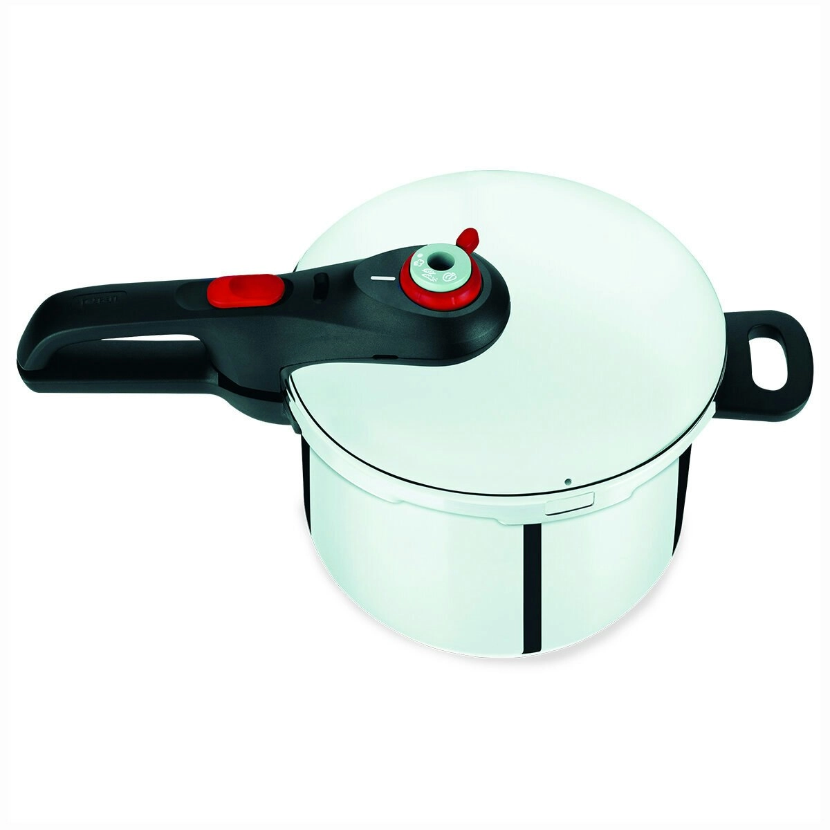 Tefal Fast and Easy Induction Stainless Steel Pressure Cooker 8L