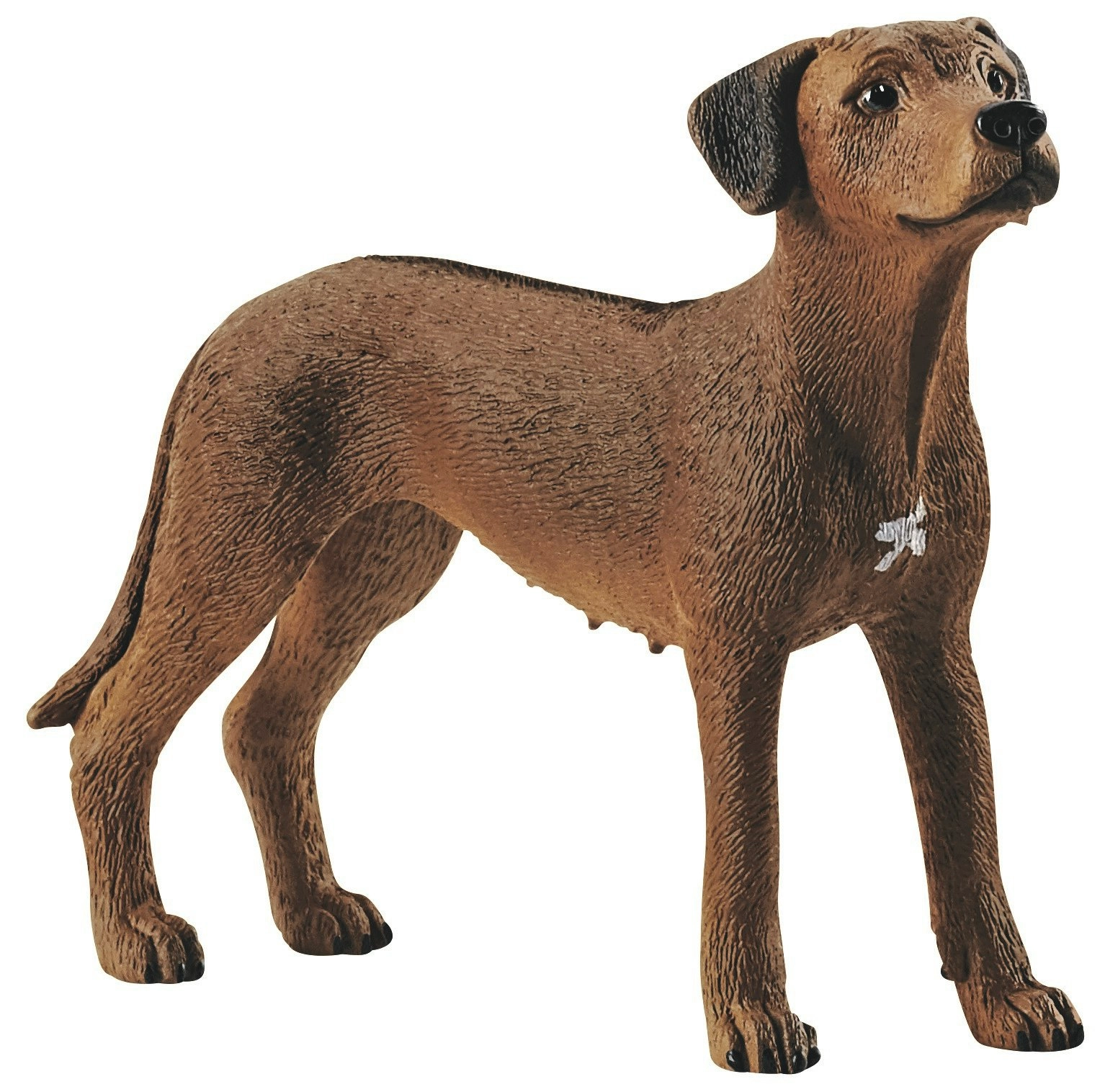 Schleich Rhodesian Ridgeback