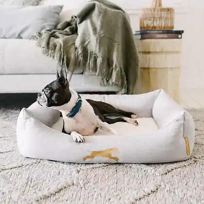 Full Memory Foam Dog & Pet Bed - Small
